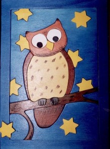 Hibou sous les étoiles