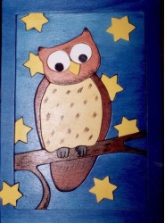 Hibou sous les étoiles